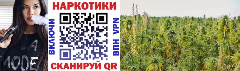 Виды наркотиков купить Великий Устюг A PVP  Кокаин  Меф мяу мяу  АМФЕТАМИН  ГАШИШ 