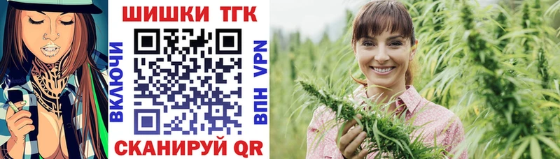 Шишки марихуана план  Великий Устюг 